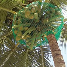 Balcony Safety Nets in hyderabad