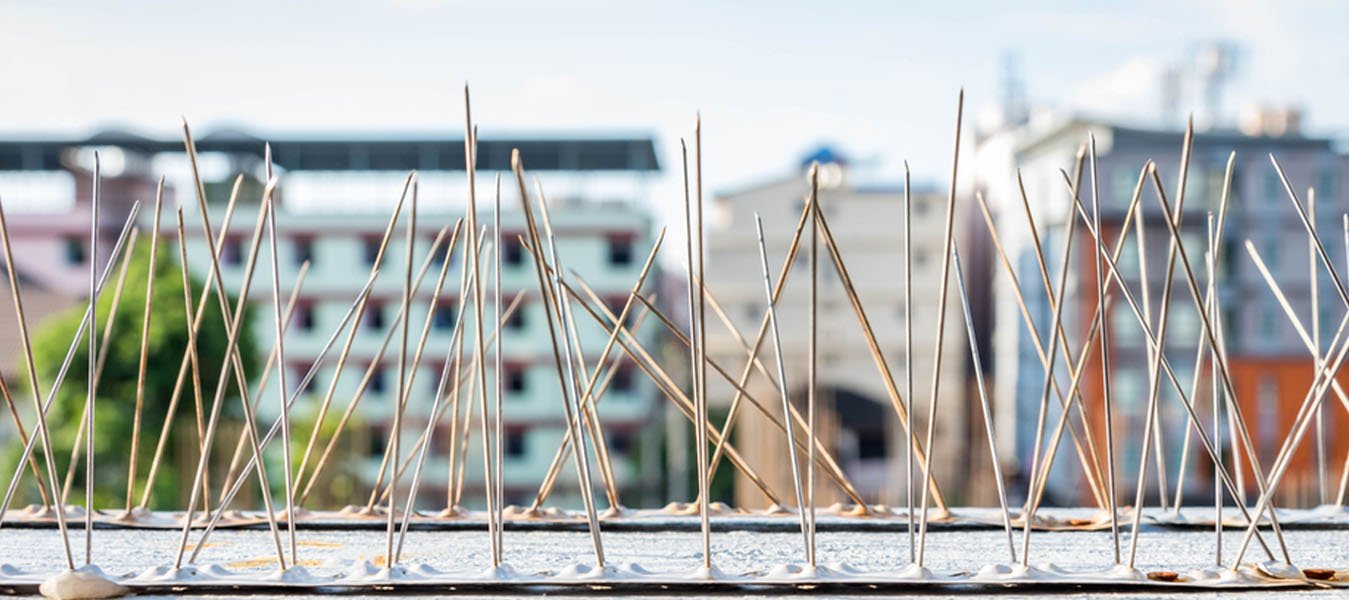 Balcony Safety Nets in hyderabad