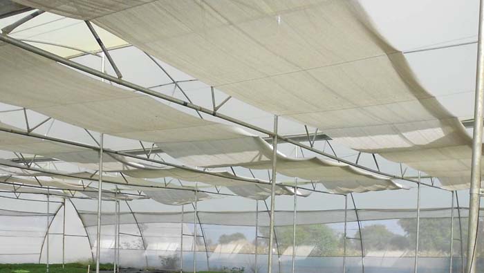 Shade Nets in hyderabad